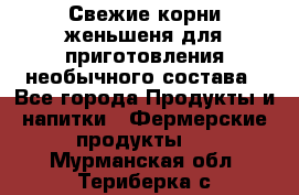 Свежие корни женьшеня для приготовления необычного состава - Все города Продукты и напитки » Фермерские продукты   . Мурманская обл.,Териберка с.